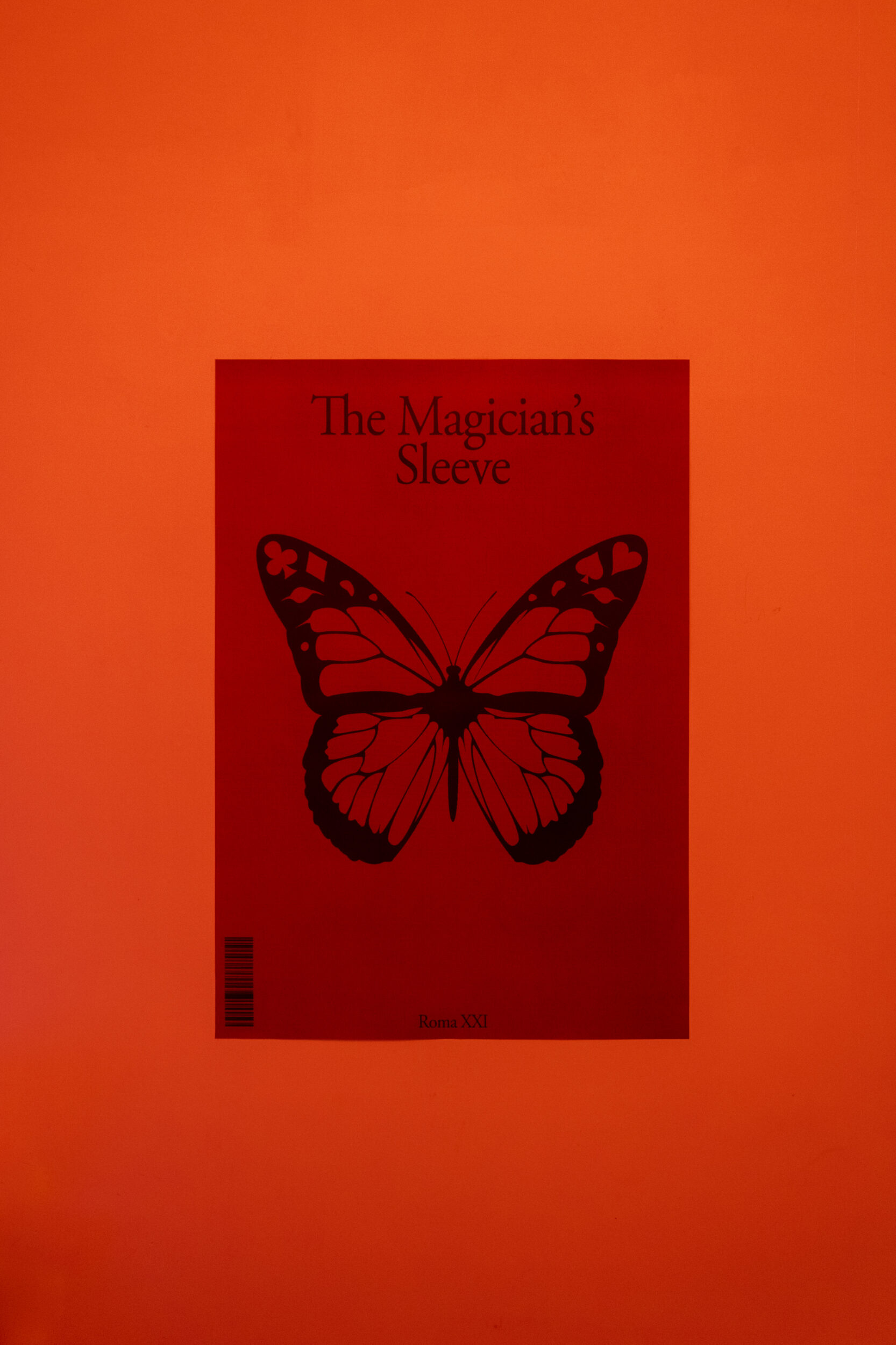 The Magician’s Sleeve - Maxime Bichon / The Magician’s Sleeve
Blueback poster
2021